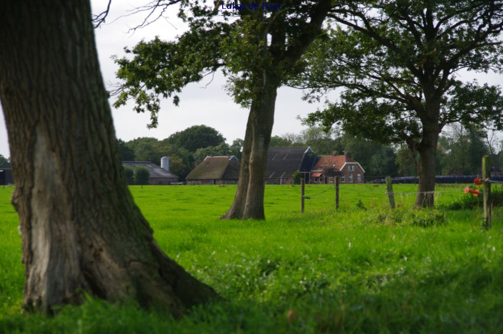 tour (95).jpg - Uitzicht op het Westeinde